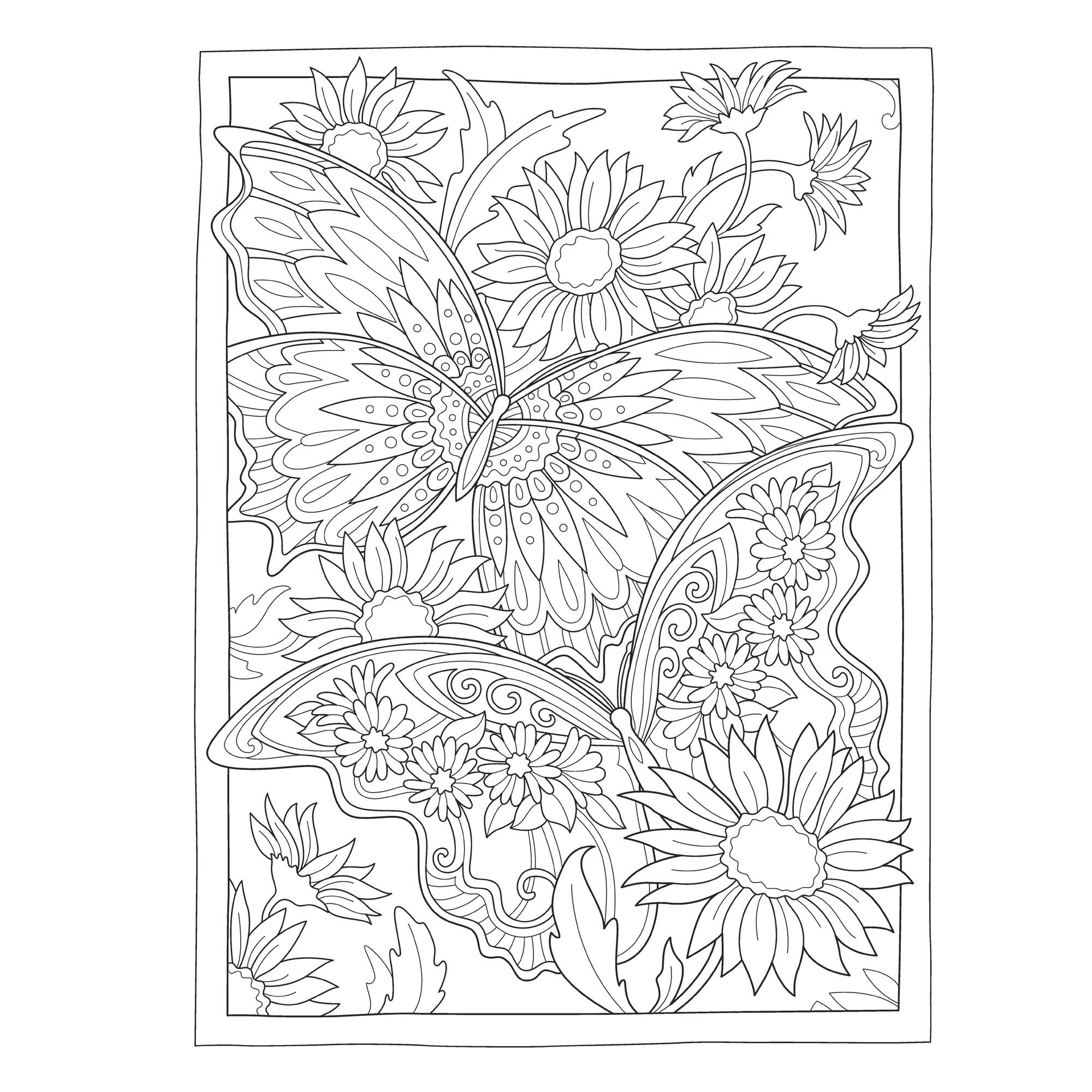 Dover Publications Creative Haven: Butterflies Flights Book